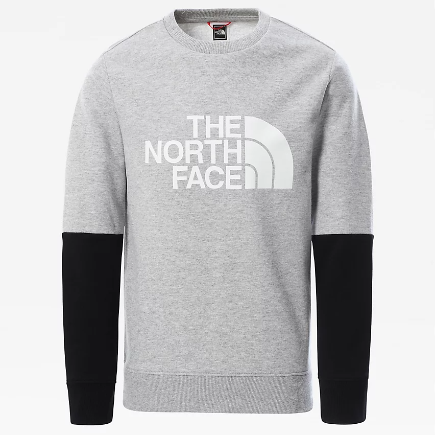 light grey north face